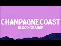 Blood Orange - Champagne Coast (Lyrics)