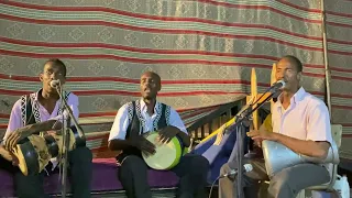 اغنية محلي يا لي قلبك مع شيخ الحمدو في ولاية تيميمون ديما رشوق ورشوق ورشوق 