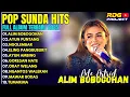 Download Lagu POP SUNDA TERBARU 2025: ADE ASTRID Full Album Tanpa Iklan (Alim Bobogohan, Ayun Puntang)