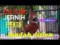 Download Lagu CILILIN Suara Asli Jernih - 100% MUDAH DITIRU dan JAMIN MASUK ‼️ (Masteran Cililin Masa Kini)