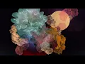 IHF - Bloom