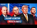 Download Lagu NATO Z NIEPEWNOŚCIĄ PATRZY NA TRUMPA – PROF. DĘBSKI KOMENTUJE SZCZYT