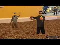 Killer Bean Live Action Vagan You re Fired