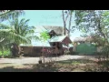 Download Lagu La Palapa Hut