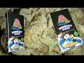 Buddah Bear - HonoLulu Punch