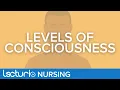 Level of Consciousness Terminology Lethargic Obtunded Stupor Comatose Lecturio Nursing