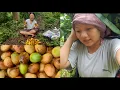 Download Lagu Maila vedio nabanaunu ko karan chai yasto theau 😔 Ani aaja ko din (Aap) mango🥭 teparw nai gayo 😊