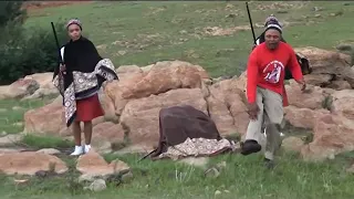 peipi liaja liaroba