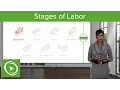 Download Lagu Stages of Labor: Stages 1, 2 \u0026 3 of Normal Labor – Obstetrics | Lecturio
