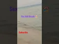 Download Lagu Hasle Gale Ye Din Na Milnge Fir | Sea line Beach ⛱️| Mesaieed| #youtubeshort #shortvideo #indian