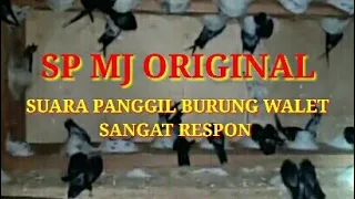 sp mj original suara panggil burung walet sangat respon