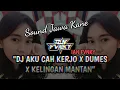 DJ AKU CAH KERJO X DUMES X KELINGAN MANTAN ( IAN FVNKY )