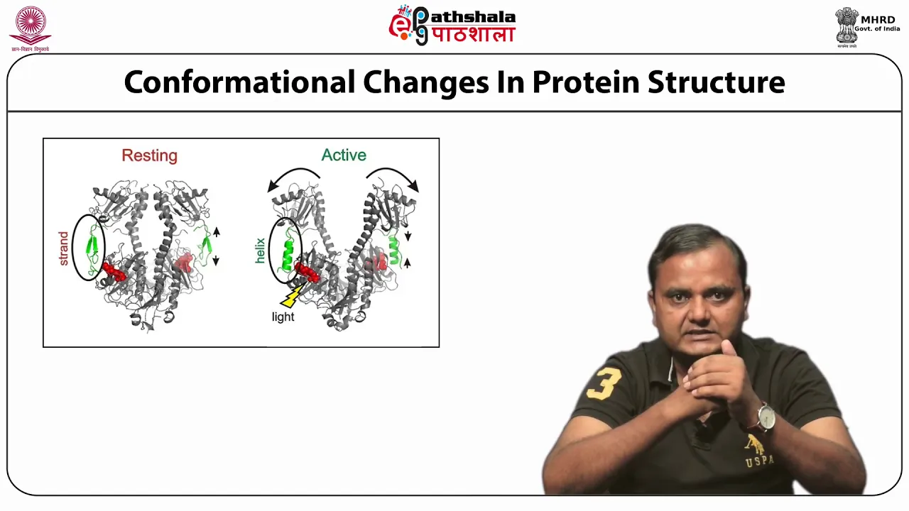 Conformational Changes: Helix-coil transitions, effect of temperature and salt
