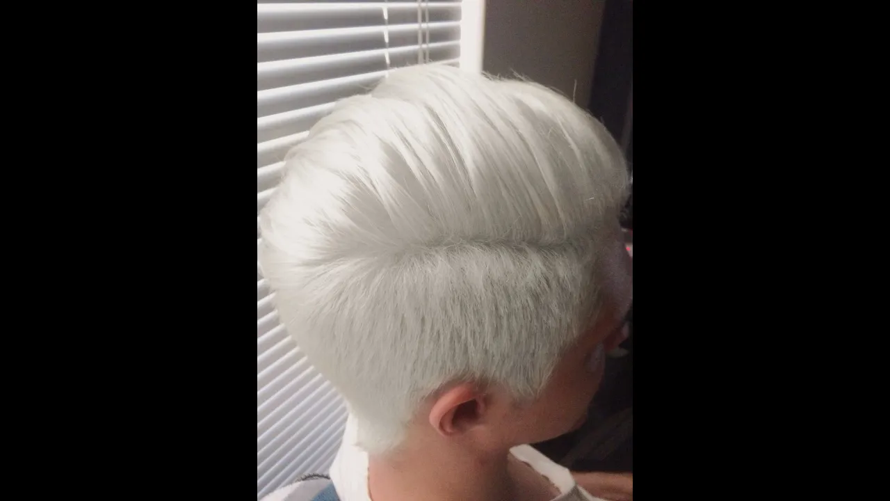 Hair Transformations with Lauryn: Platinum Silver Underlights on Previously Colored Hair Ep. 47