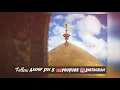 Download Lagu Sardari  Hussain Di Full Dj Remix Qawali 😍❤️🤞🏻