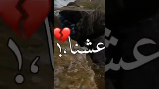 عيشنا وشوفنا بلدنا غابه حالات واتس شاشه متحركه 