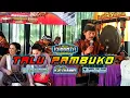 Download Lagu TALU PAMBUKO || ALL ARTIST || NEW KANANTA || LIVE : KARANGMAJA, KARANGGAYAM, KEBUMEN