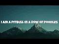 Krsna - Knock Knock | (English Lyrics) | EM Tushar