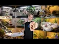 REPTILE ROOM TOUR 2026
