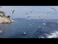 Detox Your Mind | 432Hz Healing Frequency | Meditation Music For Self Love | Deep Healing Energy