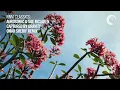 VOCAL TRANCE CLASSICS: Aurosonic & Sue McLaren - Captured By Gravity (Omar Sherif Remix)