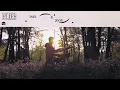 Catching Flies - Proud [Official Audio]