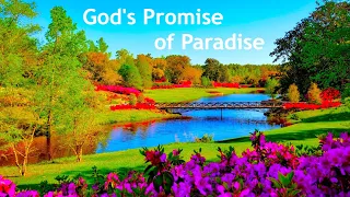 god s promise of paradise jw song 145