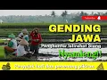 Download Lagu UYON UYON PALING ENAK, GEDING JAWA PENGANTAR ISTARAHAT ATAU TIDUR SIANG