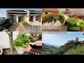 Download Lagu Daily vlog panen pakcoy tinggal di Kab. Bandung bebas polusi