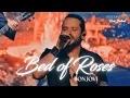 Download Lagu Bed of Roses - Bon Jovi (music by Rocknights) song on Spotify, Amazon, Deezer \u0026 Apple