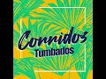 Belleza De Cantina - Cardenales De Nuevo León