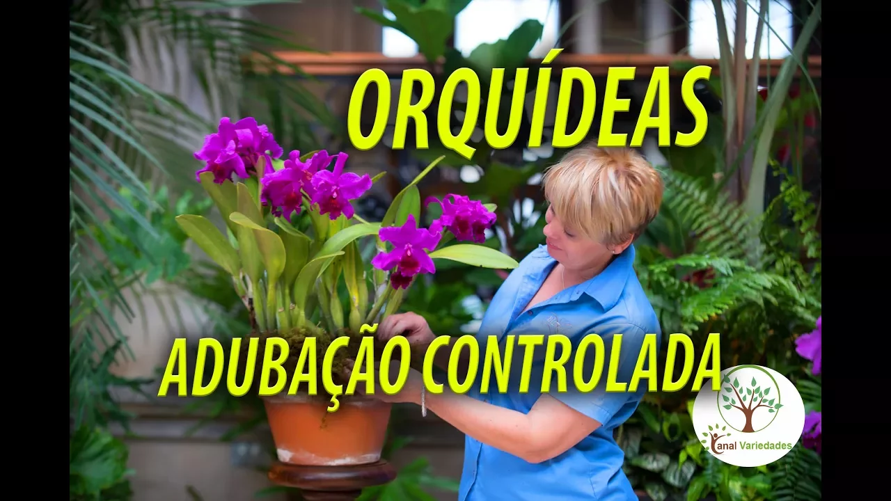 ORQUÍDEAS, ADUBAÇÃO CONTROLADA