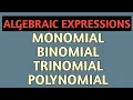 Types of algebraic expressions monomial binomial trinomial and polynomial class 7 chapter 12
