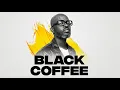 Download Lagu Afro House Mix 2025 | Black Coffee, Keinemusik, Darren, Sauaro