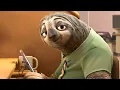 Cute Sloth s funny-slow smiling GIFs