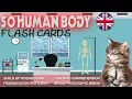 PRONOUNCE NAMES OF 50 ABC HUMAN BODY PART PICTURE FLASH CARDS BRITISH ENGLISH