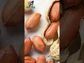 Download Lagu Tahukah kamu.?? Fakta manfaat kacang tanah untuk kesehatan