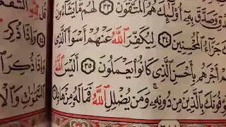 تعال اعرف سر السعادة  حتى لو البلاء موجود  هخليك تشعر بالسعادة  دندنها