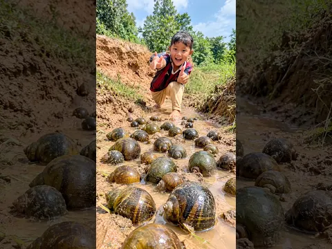 Survival Skills: Smart and Useful with Snail #mom #useful #life #ideas