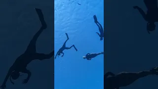 A family of 6 living on a sailing catamaran full time #sailboat #travelfamily #sailing #boatlife