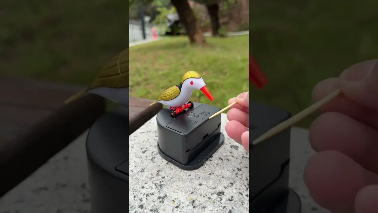 Tooth picker is amazing