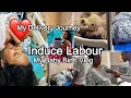 Download Lagu Induce Labour and Delivery Vlog | Baby Birth Vlog | My Delivery Journey | Birth Vlog | Nilu Shirsath