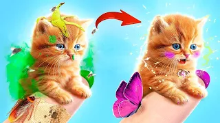 I Saved That Kitten Secrets and Tips for Pet Owners