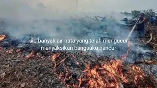 andai aku panglima sorgawi lirik