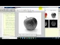 Fruit disease detection using Matlab