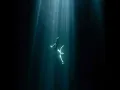 Sirena Encantada (Slowed) Miguel Morales 