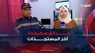 رصد آخر مستجدات حرائق الغابات في ولاية سكيكدة