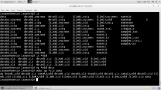 4 5 Bash tip Use echo to command expansion - Linux C mp4