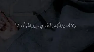 و ل ا ت ح س ب ن   ال  ذ ين  ق ت ل وا ف ي س ب يل  الل  ه    محمد صديق المنشاوي   سورة آل عمران دندنها