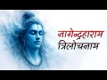 Lagu 🔱 Nagendra Haraya Trilochanaya | Powerful Shiva Mantra for Inner Peace \u0026 Meditation
